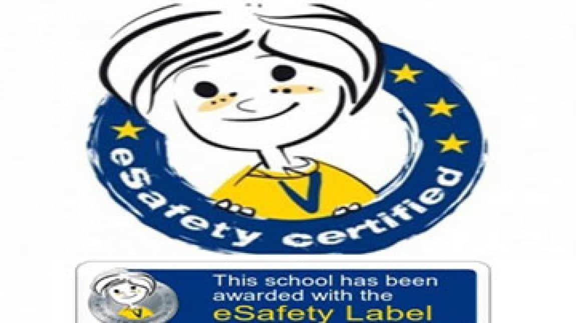 e Safety Eylem Planı