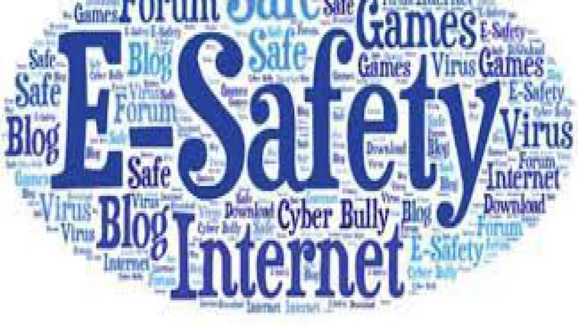 e Safety Label  Veli Anketi ve Sonuçları